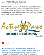 Promotions - Active Paws Mobile Grooming